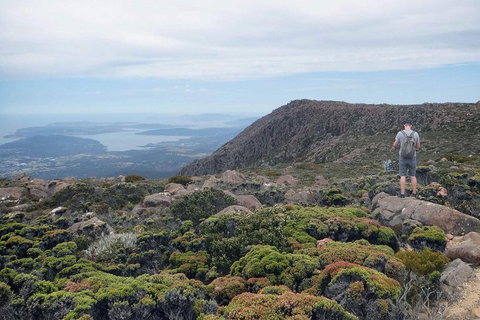 Kunanyi / Mt Wellington Explorer Bus - 2 Hour Return Tour - Winery Find 3