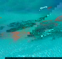 Private Tangalooma Wrecks Tour - Winery Find