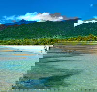 5-Day Best of Cairns with Daintree Kuranda and Great Barrier Reef - Winery Find