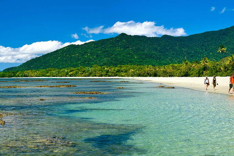 8-Day Cairns Tour: Great Barrier Reef, Kuranda, Daintree Rainforest - Winery Find 0