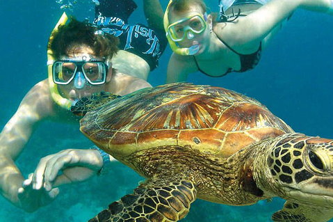 8-Day Cairns Tour: Great Barrier Reef, Kuranda, Daintree Rainforest - Winery Find 1