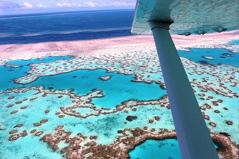 8-Day Cairns Tour: Great Barrier Reef, Kuranda, Daintree Rainforest - Winery Find 2