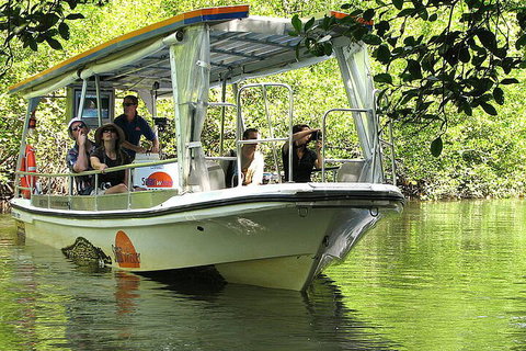 8-Day Cairns Tour: Great Barrier Reef, Kuranda, Daintree Rainforest - Winery Find 5