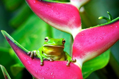 3-Day Best Of Cairns Combo: The Daintree Rainforest, Great Barrier Reef, And Kuranda - Winery Find 0