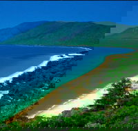 Cairns Reef and Rainforest Combo Daintree Rainforest and the Great Barrier Reef - Winery Find
