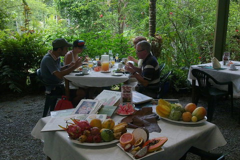 4-Day Cairns Ultimate Combo: Daintree Rainforest, Reef, Kuranda & Paronella Park - Winery Find 4