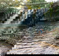 Paronella Park and Millaa Millaa Falls Full-day Tour from Cairns - Winery Find