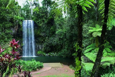 Paronella Park And Millaa Millaa Falls Full-day Tour From Cairns - Winery Find 3