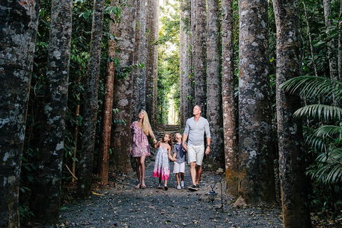 Paronella Park And Millaa Millaa Falls Full-day Tour From Cairns - Winery Find 5