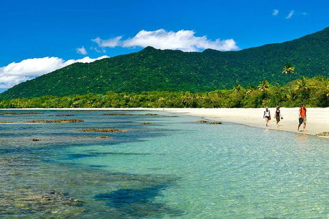 Private Daintree National Park Day Tour From Cairns Including Cape Tribulation And Mossman Gorge - Winery Find 0