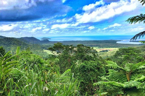 Private Daintree National Park Day Tour From Cairns Including Cape Tribulation And Mossman Gorge - Winery Find 2