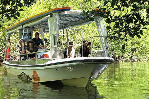 Private Daintree National Park Day Tour From Cairns Including Cape Tribulation And Mossman Gorge - Winery Find 5