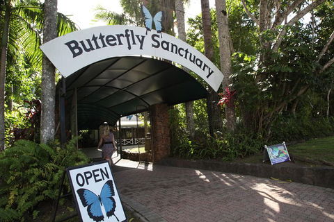 Kuranda Day Trip From Port Douglas Upgrade To Skyrail & Scenic Train Available - Winery Find 0