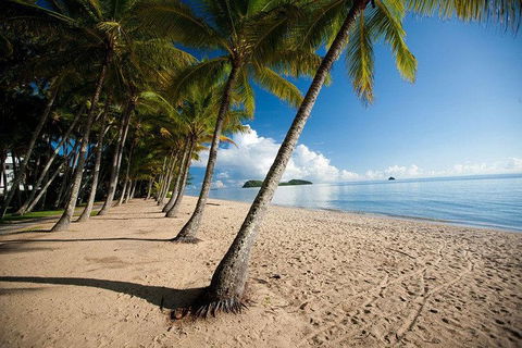 Kuranda Day Trip From Port Douglas Upgrade To Skyrail & Scenic Train Available - Winery Find 1