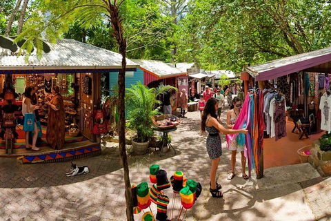 Kuranda Day Trip From Port Douglas Upgrade To Skyrail & Scenic Train Available - Winery Find 2