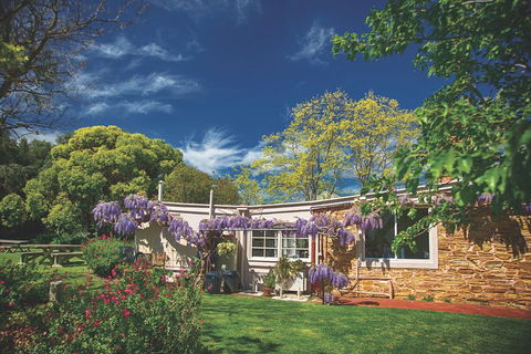 McLaren Vale Winery Small Group Tour With Wine Tasting And Lunch - Winery Find 2