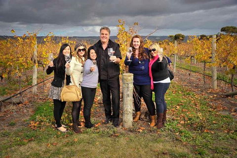 McLaren Vale Winery Small Group Tour With Wine Tasting And Lunch - Winery Find 3