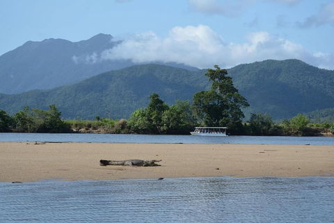Afternoon Half-Day Daintree Rainforest And River Tour - Winery Find 2