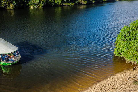 Afternoon Half-Day Daintree Rainforest And River Tour - Winery Find 3