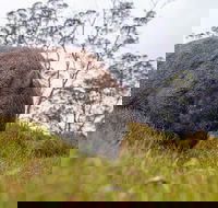 3-Day Cradle Mountain Photography Workshop - Winery Find