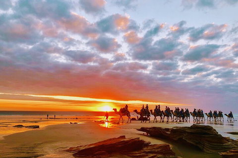 1 Hour Broome Sunset Camel Tour - Winery Find 0