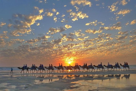 1 Hour Broome Sunset Camel Tour - Winery Find 1