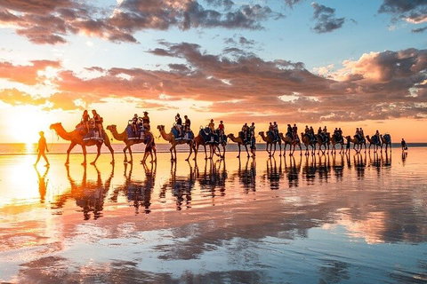 1 Hour Broome Sunset Camel Tour - Winery Find 2