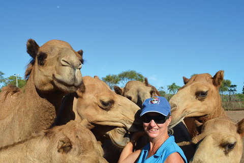 1 Hour Broome Sunset Camel Tour - Winery Find 3