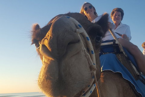 1 Hour Broome Sunset Camel Tour - Winery Find 4