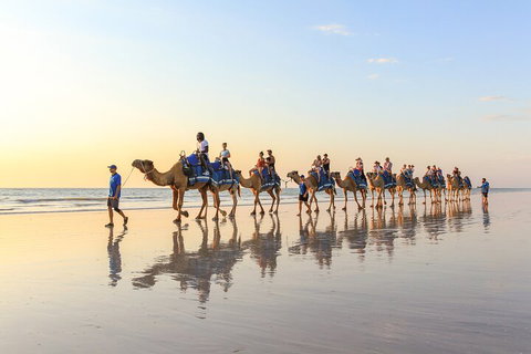 1 Hour Broome Sunset Camel Tour - Winery Find 5