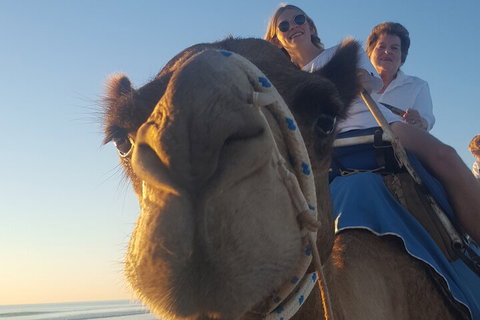 Broome Pre-sunset Camel Tour 30 Minutes - Winery Find 1