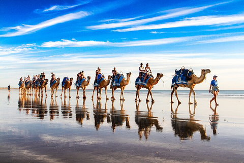 Broome Pre-sunset Camel Tour 30 Minutes - Winery Find 2