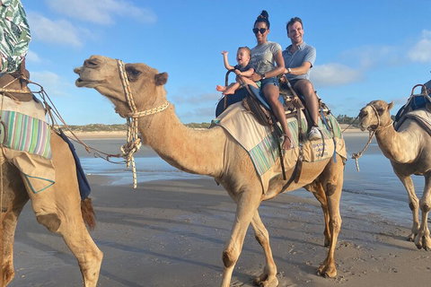 Broome Pre-sunset Camel Tour 30 Minutes - Winery Find 3