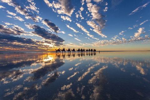 Broome Pre-sunset Camel Tour 30 Minutes - Winery Find 4