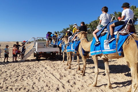 Broome Pre-sunset Camel Tour 30 Minutes - Winery Find 5
