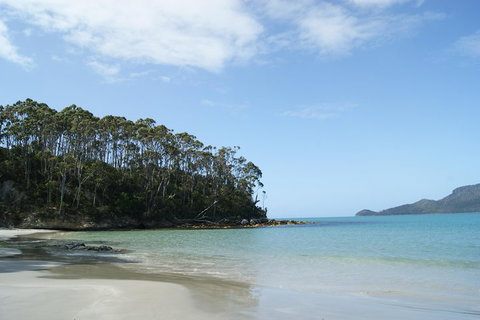 Bruny Island Day Trip From Hobart - Winery Find 1