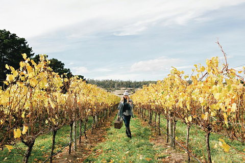 One-Way East Coaster - Winery Find 1