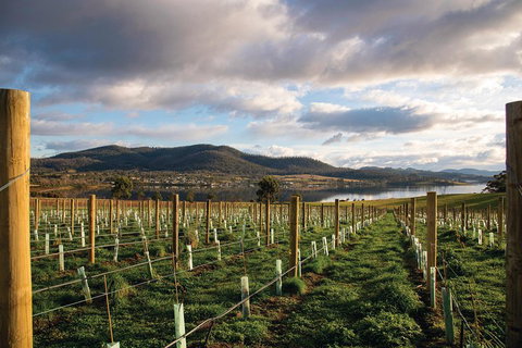 One-Way East Coaster - Winery Find 5