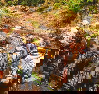 Full-day Springbrook National Park Tour from the Gold Coast - Winery Find