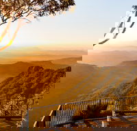 O'Reilly's  Lamington National Park incl. Alpaca Farm  Vineyard - Winery Find