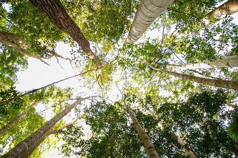 Fraser Island 4WD Tour From Noosa - Winery Find 0