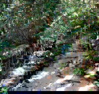 Fraser Island 4WD Tour from Rainbow Beach - Winery Find