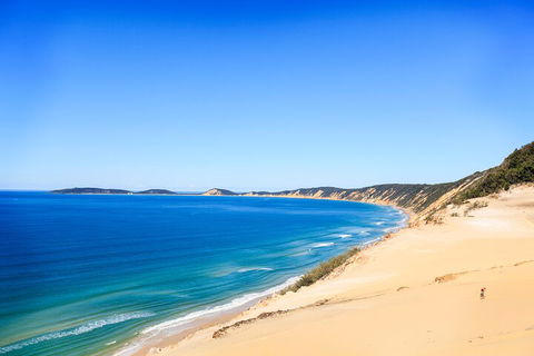 Kayak With Dolphins And 4WD Great Beach Drive Day Trip From Noosa - Winery Find 0