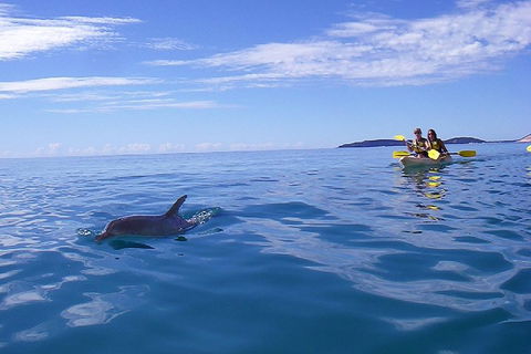 Kayak With Dolphins And 4WD Great Beach Drive Day Trip From Noosa - Winery Find 2