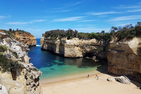Helicopter Flight + Fine Dining Private Luxury Great Ocean Road Tour - Winery Find 1