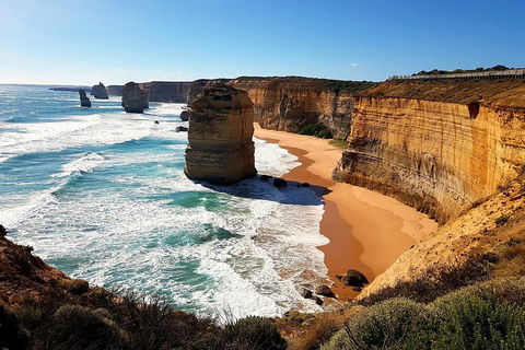 Helicopter Flight + Fine Dining Private Luxury Great Ocean Road Tour - Winery Find 4