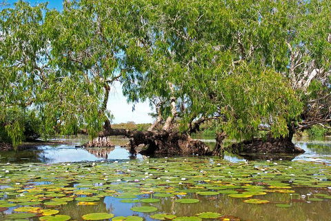 Ethical Adventures - Best In The WET - Litchfield / Kakadu 3 Day- Max 10 Guests - Winery Find 1
