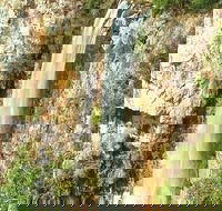 Private Tour - Rainforest  Waterfalls Extravaganza - Winery Find