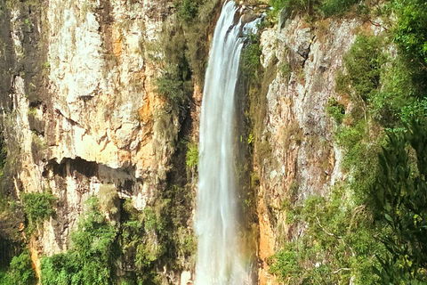 Private Tour - Rainforest & Waterfalls Extravaganza - Winery Find 0