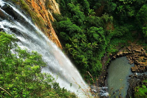 Private Tour - Rainforest & Waterfalls Extravaganza - Winery Find 2